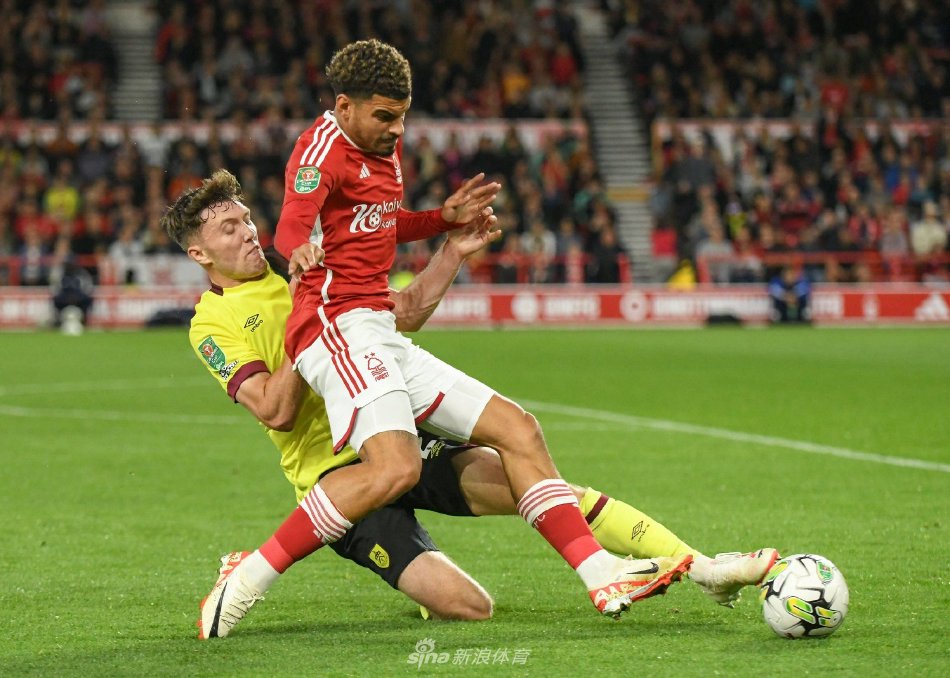 种长久的稳 种长久的稳