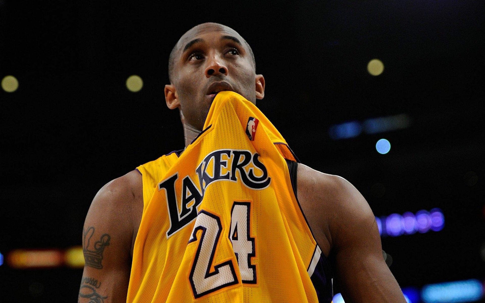 注册审批 注册审批